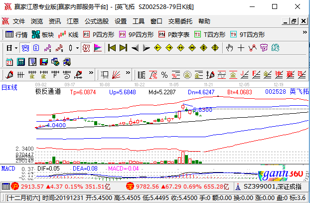 揭秘002528股票，投资潜力与策略深度解析