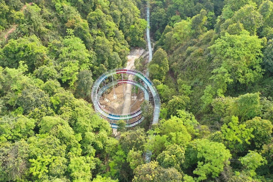 第403页
