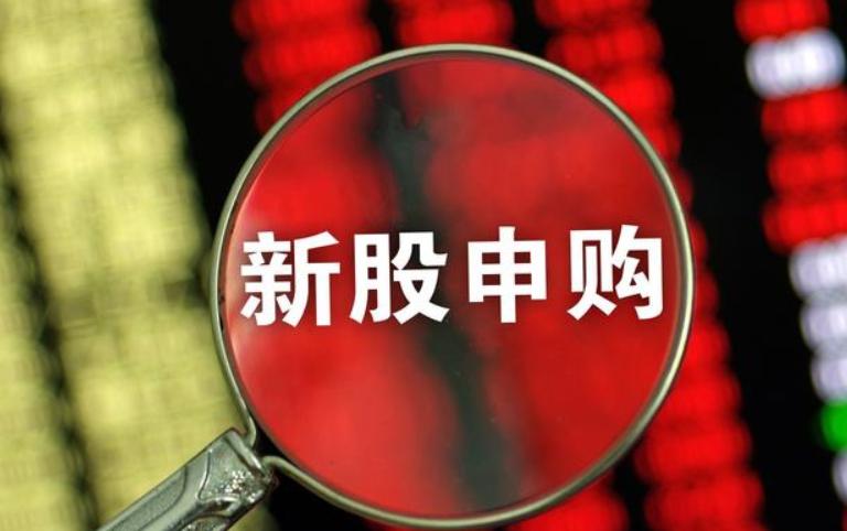 康德药业股票投资潜力与前景展望分析