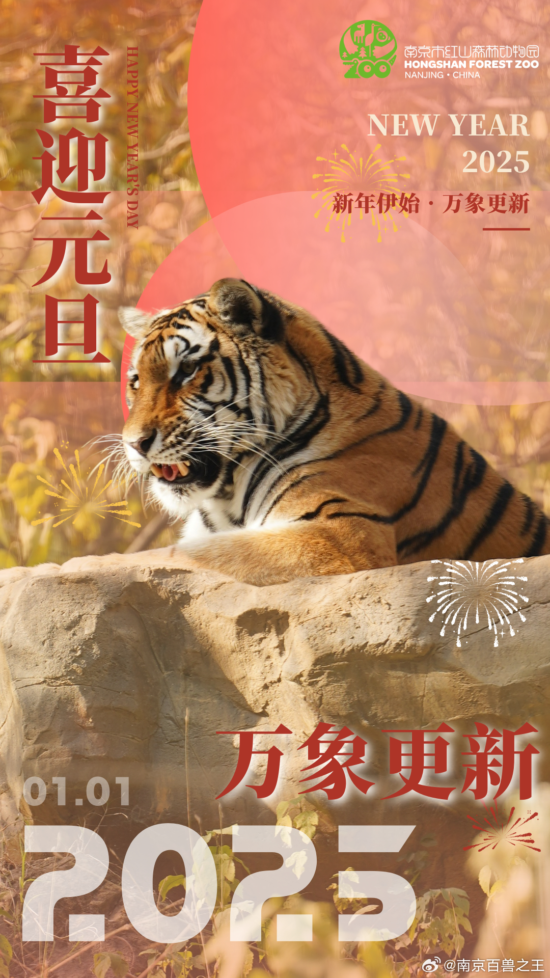 最新年伊始，完成某项任务或学习某种技能的详细步骤指南