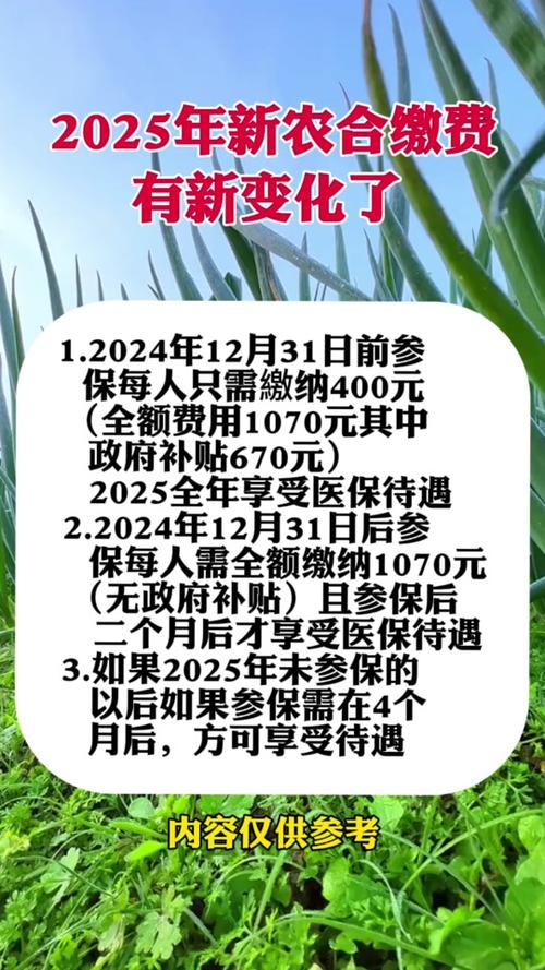 新农合最新政策2025，背景、影响与地位分析
